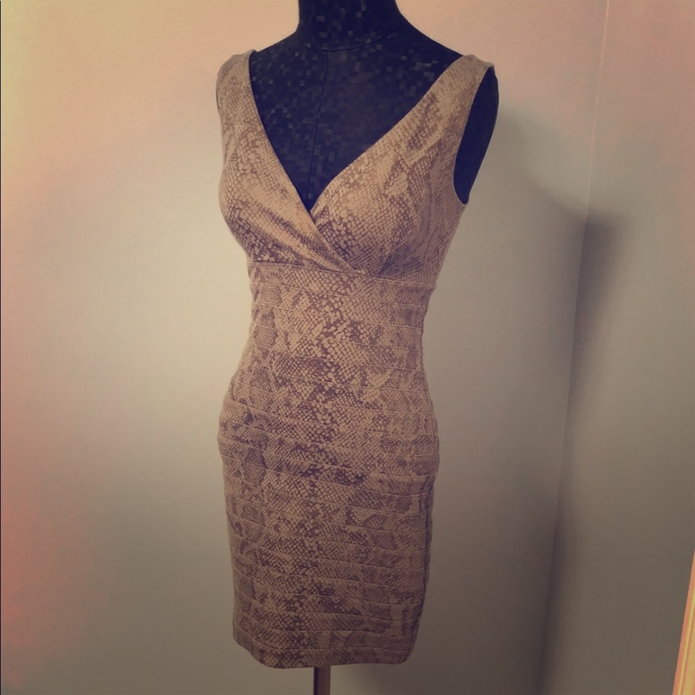 Express snakeskin print dress